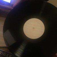 professor plastic (@adriand78303178) 's Twitter Profile