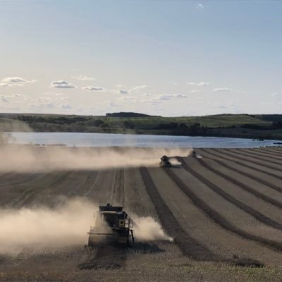 funnyfarm21's profile picture. 