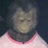 LucaPfiati's profile image