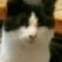 Ao (@plzaoo) 's Twitter Profile
