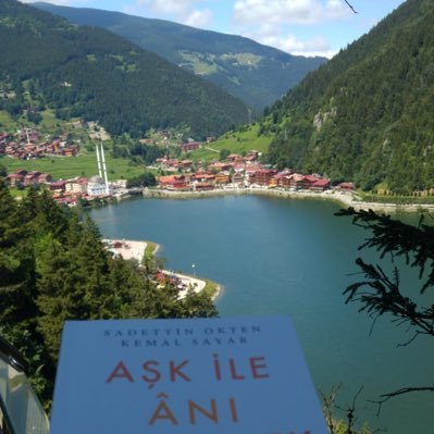 suat_toktas's profile picture. 