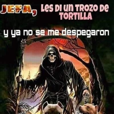 Jan90176287's profile picture. Tampa 💙🎇