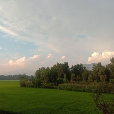 takumar333's profile picture. PhD Chemistry,
University of Kashmir