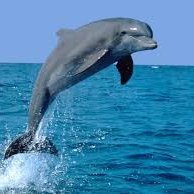 Patria Delfin ♥️TwiterSiguemeYTSigo👍