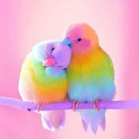 🌄عاشق الغروب 🌅 (@mhm91087442) Twitter profile photo