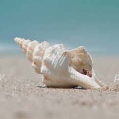 aruanimermaid's profile picture. 25歳成人済、見る専です。進撃の巨人・ツイステ・Fate・ヘタリア・ヒロアカ・ゲ謎・コナンが好き。https://t.co/GlKDnO2XZ2なんでも見ます。(ホーム画引用:『進撃の巨人』諫山創 講談社)