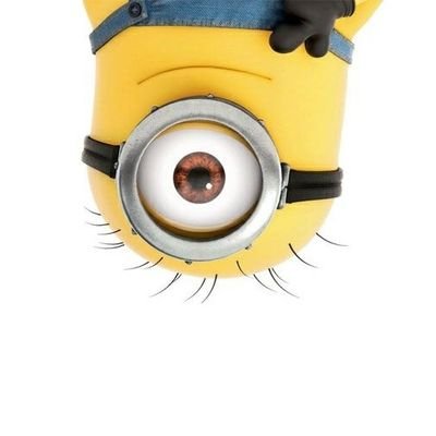 Lito11060181's profile picture. antropólogo, demócrata, enemigo de la injusticia y el oportunismo.