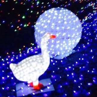 aaahydrogenEX's profile picture. この道は一度しか通らない道( っ⦿👅⦿c) ｸﾞｧ