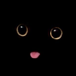 pal_nes's profile picture. A mööse önce twit my sister.