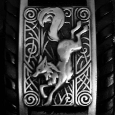 CelestionFox's profile picture. Aspiring Voice Actor, Tinkerer, Blacksmith and Self-Taught Mechanic. 33yo Minors DNI