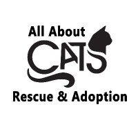 All About Cats Rescue & Adoption(@AACatsRescue) 's Twitter Profile Photo