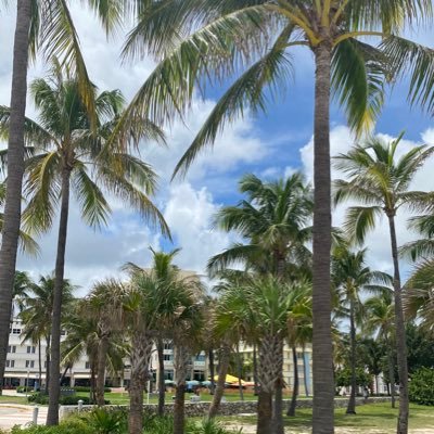 Opinionated03's profile picture. all views expressed are my own, retweets and links aren’t endorsements.