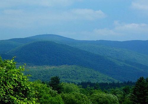 TheBerkshires's profile picture. 