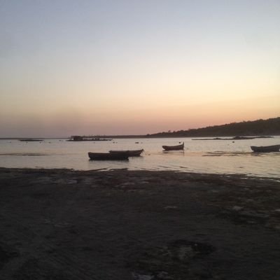 MilaCar25505106's profile picture. Gosto de viver