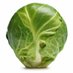 Concerned Sprout (@concernedsprout) Twitter profile photo Concerned Sprout (@concernedsprout) Twitter profile photo