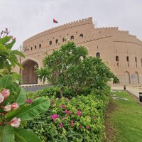 الراشدي (@user898) 's Twitter Profile