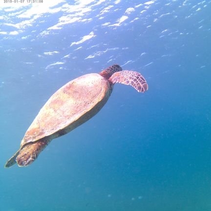 kokoo0721's profile picture. 