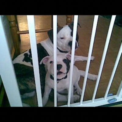 its_charlottes's profile picture. 