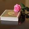 Read_Quran___'s profile picture. Au nom d’Allah, le Tout Miséricordieux, le Très Miséricordieux.  بِسْمِ اللَّهِ الرَّحْمَنِ الرَّحِيمِ