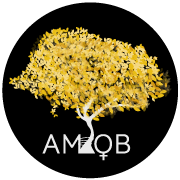 AMOB (@somosamob) 's Twitter Profile