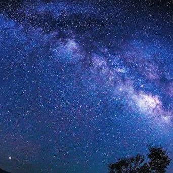 Ren05454157's profile picture. 