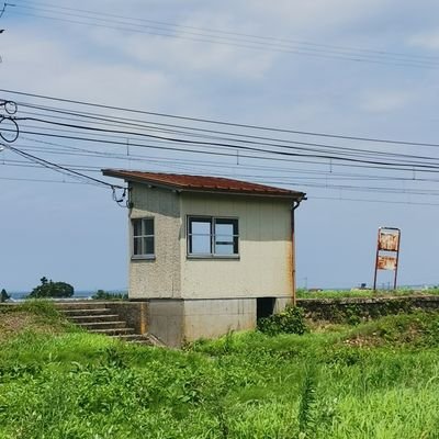 ツリマイさんのプロフィール画像