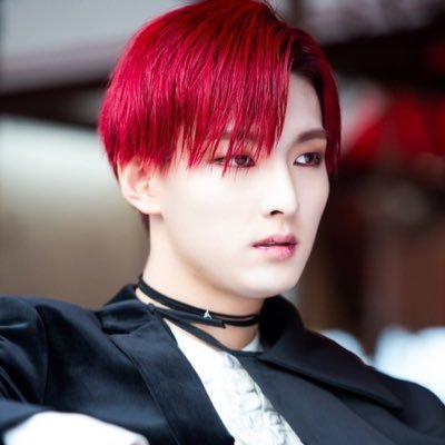 californiaaki's profile picture. I dance therefore I am. | 🦁백주호❤️ | 형준지용주호준회미노재범제원셔누원호호야진영로제동준동운성재이특찬열은우백호