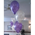balloonshop_pr2's profile picture. Professional balloon decorating service for all your special occcasions. From arches to clouds to simple balloon bunches we can cater for all your needs.