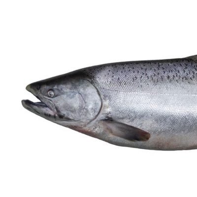 JeffA1776's profile picture. 