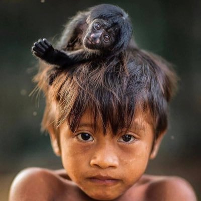 saadhussein2019's profile picture. Nosferatu