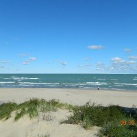 clareisland (@clareisland1) 's Twitter Profile