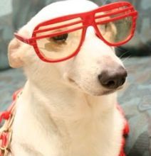 LondonGrl_byLA's profile picture. Just making my way in the world one day at a time...