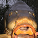 John Newton - @Kingsparkfisher - Twitter