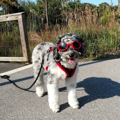 CindyGrembocki's profile picture. 