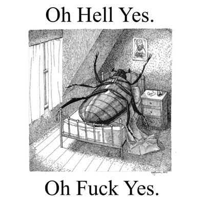 donuttsar's profile picture. defeating god, they/them