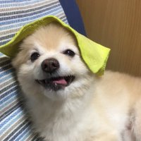 まろ (@6hlmcf5dfo57h1u) 's Twitter Profile Photo まろ (@6hlmcf5dfo57h1u) 's Twitter Profile Photo