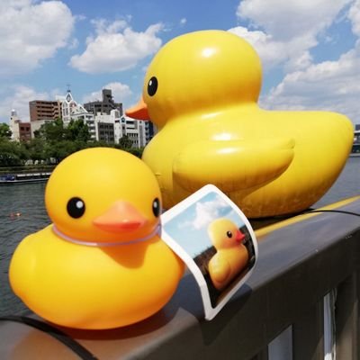 ラバー・ダックオリジナルグッズ販売の情報発信🐤   次回販売→未定
#ラバーダック #RubberDuckProject