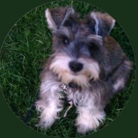 JESUSmyRighteousness✝️🕊❤️ (@pbeloved77) 's Twitter Profile
