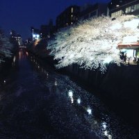 tracymacgrady (@tracymacgrady24) Twitter profile photo