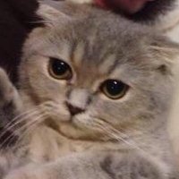 งุงิจุจิอุอิปุกปิ้ย่าว (@kanokkwann02) 's Twitter Profile Photo