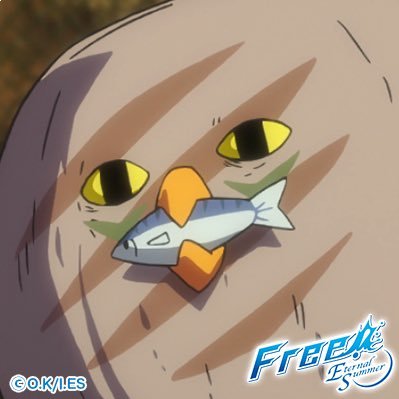 貴方のやたろ🇪🇸さんのプロフィール画像