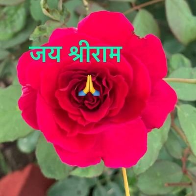 RajeshS47005502's profile picture. Rksharma