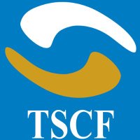 THE SOCIAL CAPITAL FOUNDATION (TSCF)(@_socialcapital_) 's Twitter Profile Photo