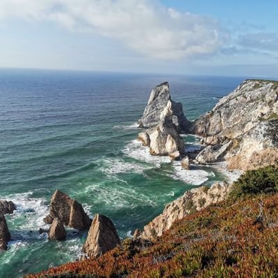 traveller_matt's profile picture. Life Changer