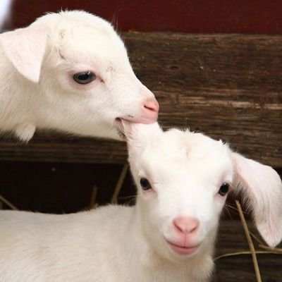 egg280500's profile picture. 