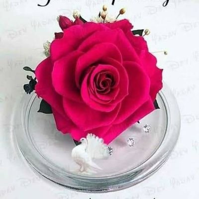 arif_madar's profile picture. 