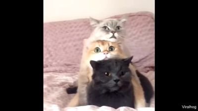 aarypo's profile picture. pp