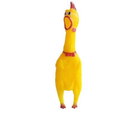 inthaha's profile picture. 