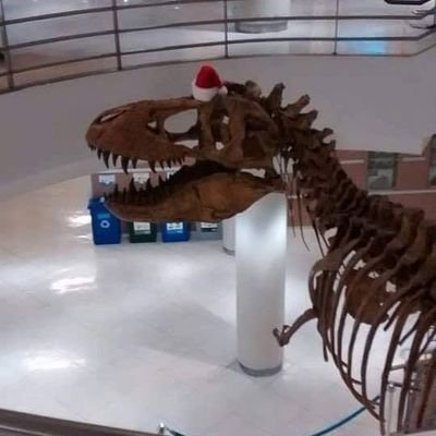 cheerp6's profile picture. 