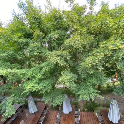 UZOLOaC15beACUw's profile picture. 